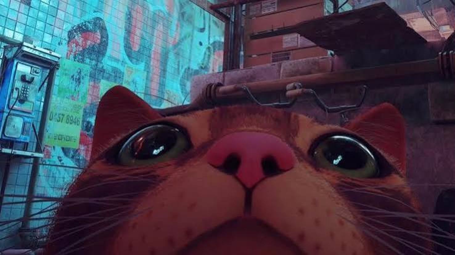 Stray - Indie Game created on Unreal Engine